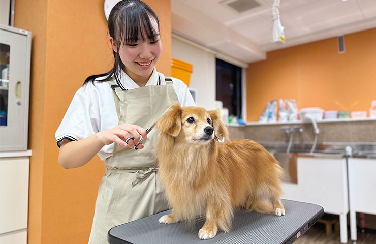 ペットトリマー